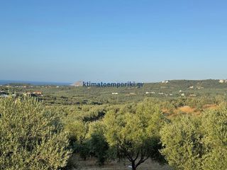 Οικόπεδο 2.500 τ.μ. για πώληση