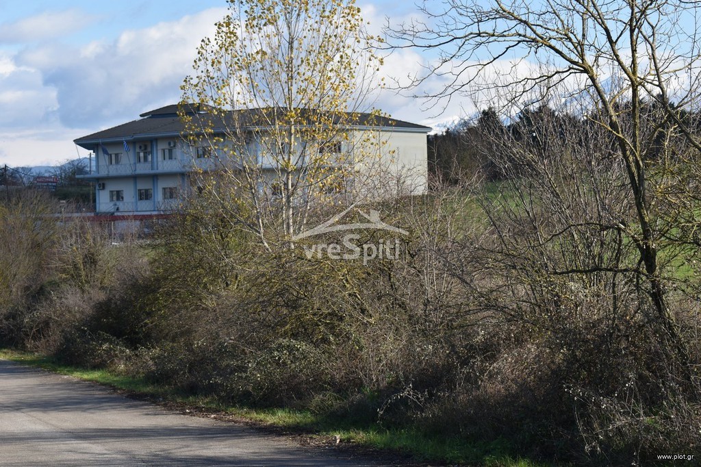 Αγροτεμάχια 4.235 τ.μ. προς πώληση, Ιωάννινα
