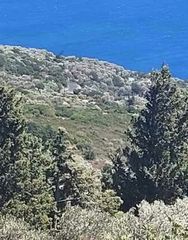Οικόπεδο 630 τ.μ. για πώληση, Ν. Σάμου, Ικαρία-thumb-1