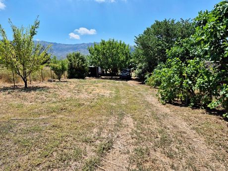 Οικόπεδο 12.790τ.μ. για πώληση-Λίμνη » Μαρούλι