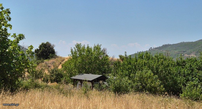 Οικόπεδο 790 τ.μ. προς πώληση, Μαρούλι