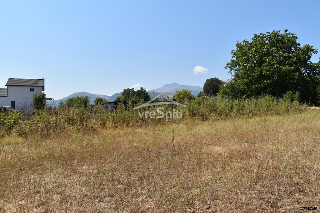 Οικόπεδο 710 τ.μ. προς πώληση, Πεδινή