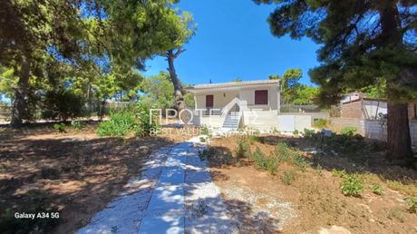 Μονοκατοικία 45τ.μ. για ενοικίαση-Ραφήνα » Κέντρο