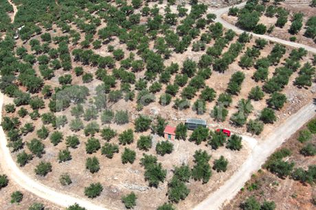 Αγροτεμάχια 4.707τ.μ. για πώληση-Γαργαλιάνοι
