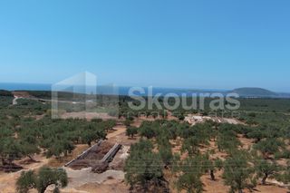 Αγροτεμάχια 4.707 τ.μ. για πώληση