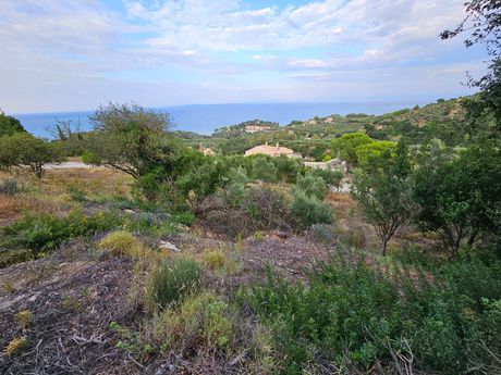 Land plot 6.200 sqm for sale