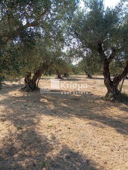 Land plot 4.589sqm for sale-Pirgos » Kampos