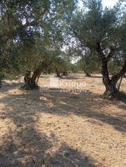 Οικόπεδο 4.589 τ.μ. για πώληση