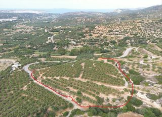 Οικόπεδο 12.000 τ.μ. για πώληση