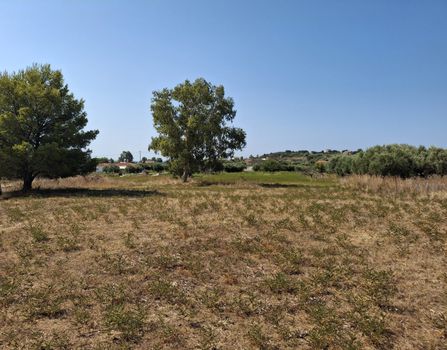 Αγροτεμάχια 8.396τ.μ. για πώληση-Κεφαλονιά » Παλική