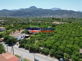 Οικόπεδο 3.858 τ.μ. για πώληση, Αχαΐα, Αίγιο-thumb-14