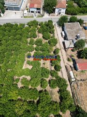 Οικόπεδο 3.858 τ.μ. για πώληση, Αχαΐα, Αίγιο-thumb-6