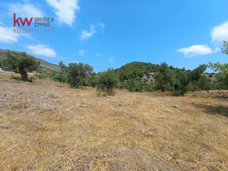 Αγροτεμάχια 1.670 τ.μ. για πώληση