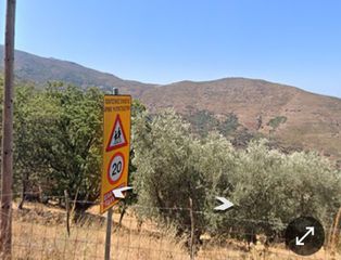 Οικόπεδο 6.750 τ.μ. για πώληση, Κυκλάδες, Άνδρος-thumb-6