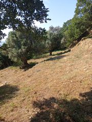 Οικόπεδο 6.750 τ.μ. για πώληση, Κυκλάδες, Άνδρος-thumb-20