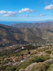 Οικόπεδο 6.750 τ.μ. για πώληση, Κυκλάδες, Άνδρος-thumb-12