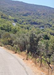 Οικόπεδο 6.750 τ.μ. για πώληση, Κυκλάδες, Άνδρος-thumb-14