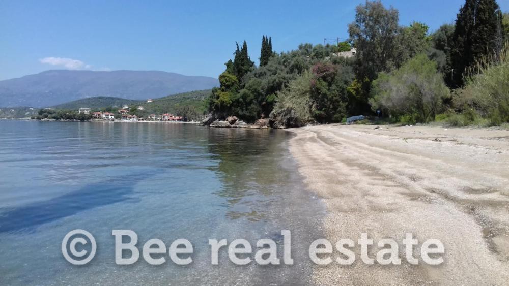 Αγροτεμάχια 54.000 τ.μ. προς πώληση, Μαγνησία, Αργαλαστή
