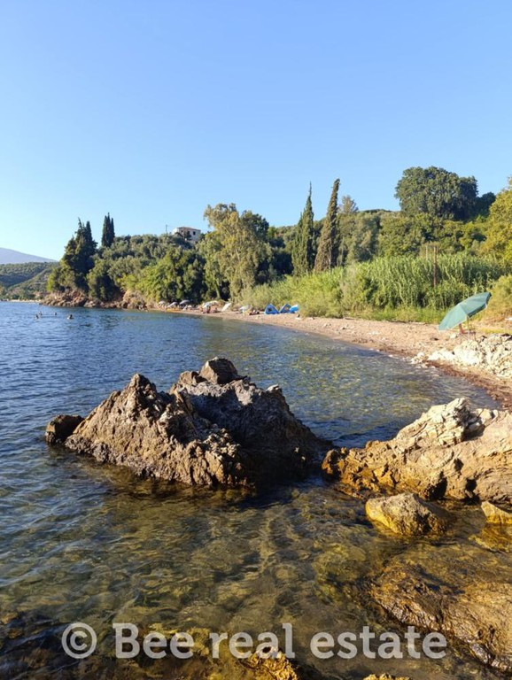 Αγροτεμάχια 54.000 τ.μ. προς πώληση, Μαγνησία, Αργαλαστή
