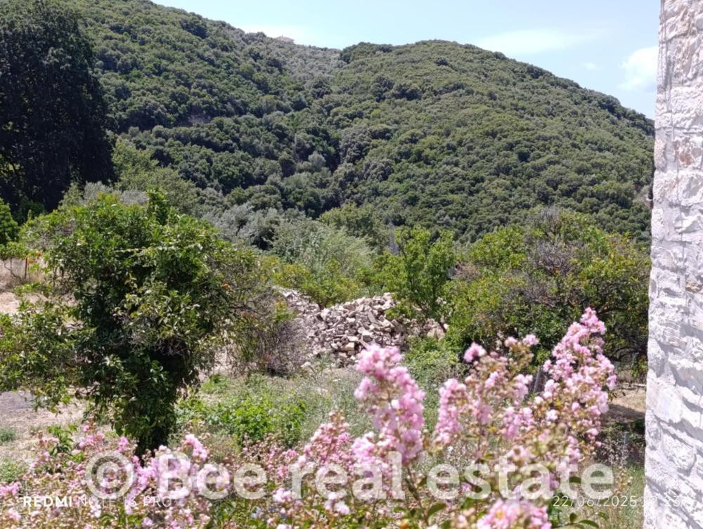 Αγροτεμάχια 54.000 τ.μ. προς πώληση, Μαγνησία, Αργαλαστή