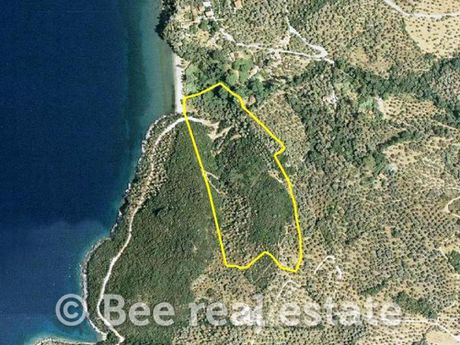 Αγροτεμάχια 54.000τ.μ. για πώληση-Αργαλαστή » Λεφόκαστρο