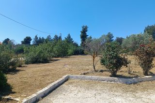 Μονοκατοικία 65 τ.μ. για πώληση, Αργολίδα, Κρανίδι-thumb-23