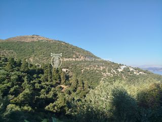Αγροτεμάχια 47.150 τ.μ. για πώληση