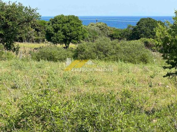 Αγροτεμάχια 4.500 τ.μ. για πώληση, Εβρος, Σαμοθράκη