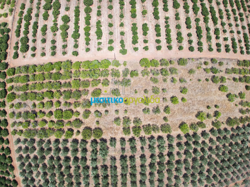 Parcel 5.500 sqm for sale, Argolis, Argos