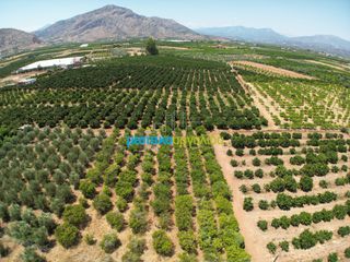 Αγροτεμάχια 5.500 τ.μ. προς πώληση, Αργολίδα, Άργος-thumb-2