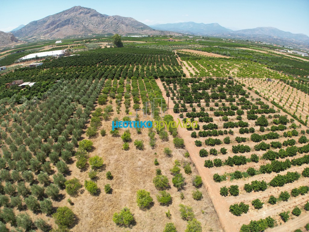 Parcel 5.500 sqm for sale, Argolis, Argos