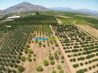 Αγροτεμάχια 5.500 τ.μ. προς πώληση, Αργολίδα, Άργος-thumb-1