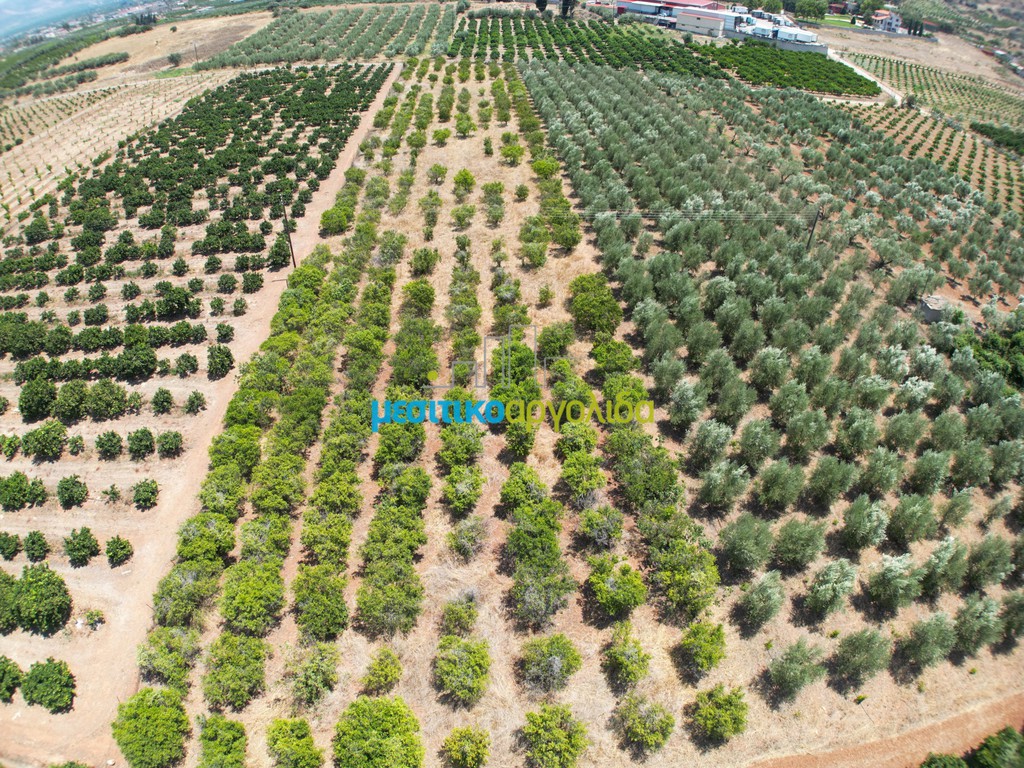 Parcel 5.500 sqm for sale, Argolis, Argos