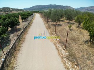 Αγροτεμάχια 5.500 τ.μ. προς πώληση, Αργολίδα, Άργος-thumb-7