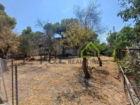 Land plot 543sqm for sale-Artemida (Loutsa) » Kataskinosis