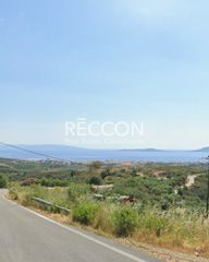 Οικόπεδο 1.811 τ.μ. για πώληση, Λακωνία, Βοϊων-thumb-1