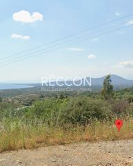 Οικόπεδο 1.811 τ.μ. για πώληση, Λακωνία, Βοϊων-thumb-3