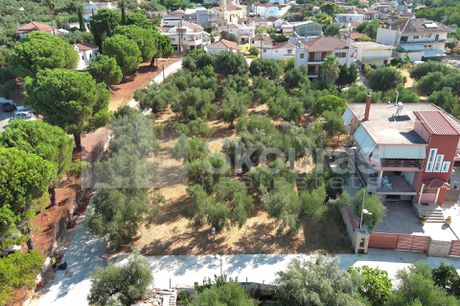 Οικόπεδο 2.126,08τ.μ. για πώληση-Καλαμάτα