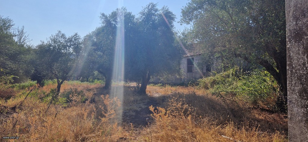 Άλλο 5.049 τ.μ. για πώληση, Μεσσηνία, Ιθώμης