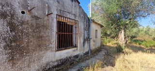 Άλλο 5.049 τ.μ. για πώληση, Μεσσηνία, Ιθώμης-thumb-2