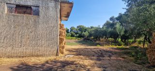Άλλο 5.049 τ.μ. για πώληση, Μεσσηνία, Ιθώμης-thumb-10