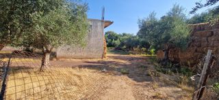 Άλλο 5.049 τ.μ. για πώληση, Μεσσηνία, Ιθώμης-thumb-11