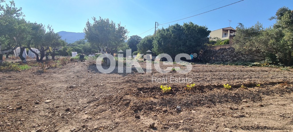 Οικόπεδο 1.792 τ.μ. προς πώληση, Ομηρούπολη
