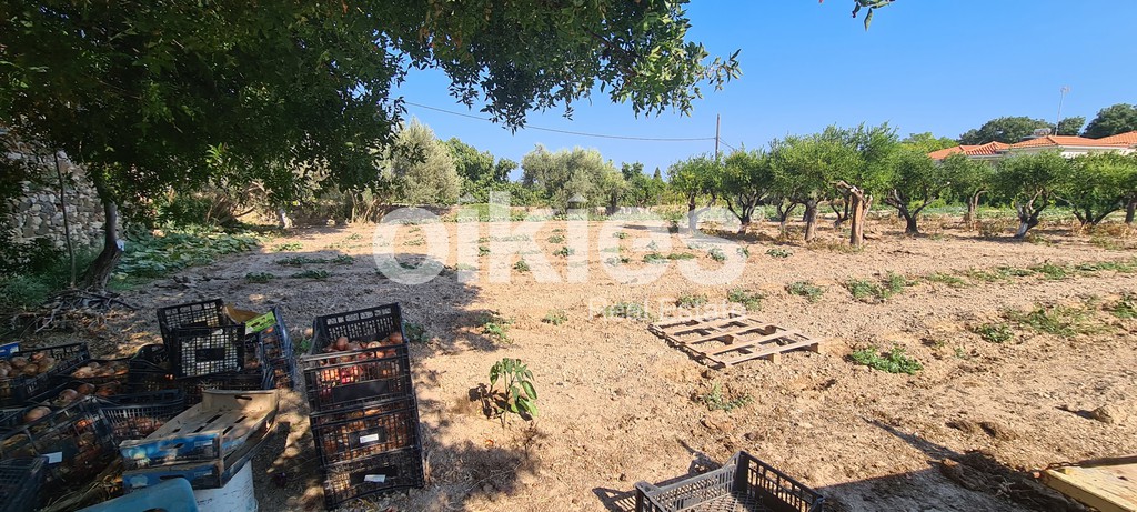 Οικόπεδο 1.792 τ.μ. προς πώληση, Ομηρούπολη