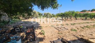 Οικόπεδο 1.792 τ.μ. για πώληση