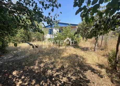 Μονοκατοικία 80τ.μ. για ενοικίαση-Ραφήνα » Κέντρο