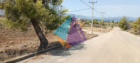 Οικόπεδο 1.007τ.μ. για πώληση-Μαλεσίνα