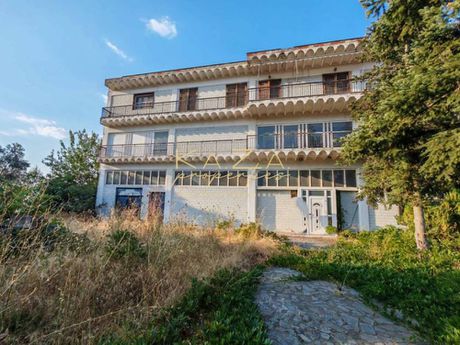 Βιοτεχνικός χώρος 3.000τ.μ. για πώληση-Λαγκαδάς » Λαγυνά