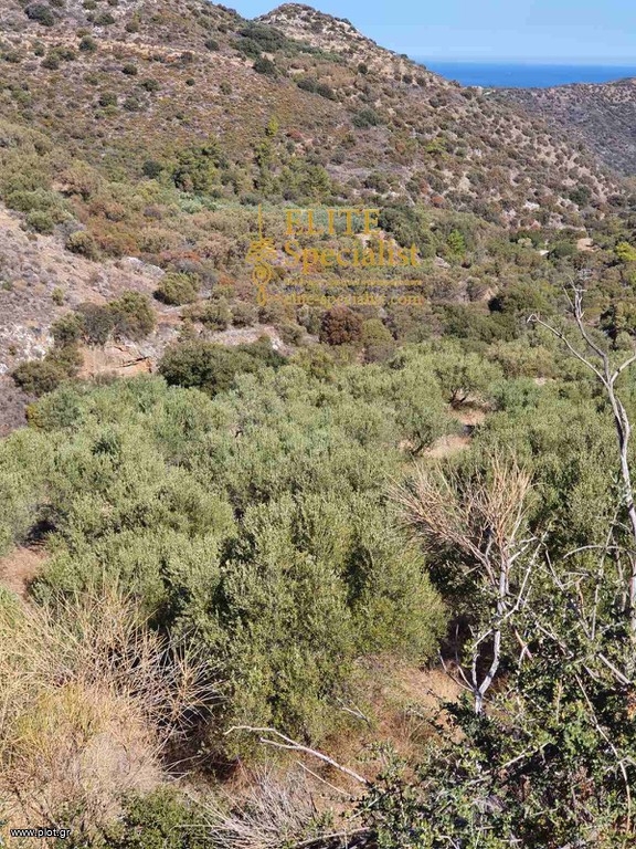 Οικόπεδο 5.140 τ.μ. πρός πώληση, Ν. Λασιθίου, Σητεία
