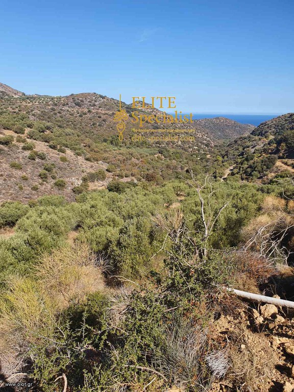 Οικόπεδο 5.140 τ.μ. πρός πώληση, Ν. Λασιθίου, Σητεία